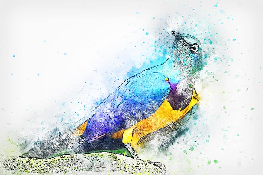 pták, peří, umění, abstraktní, vodové barvy, vinobraní, Příroda, tričko, umělecký, design, akvarel