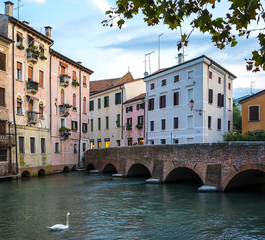 treviso, sungai, kota, Italia, saluran, jembatan, veneto, bangunan, rumah, air, eropa
