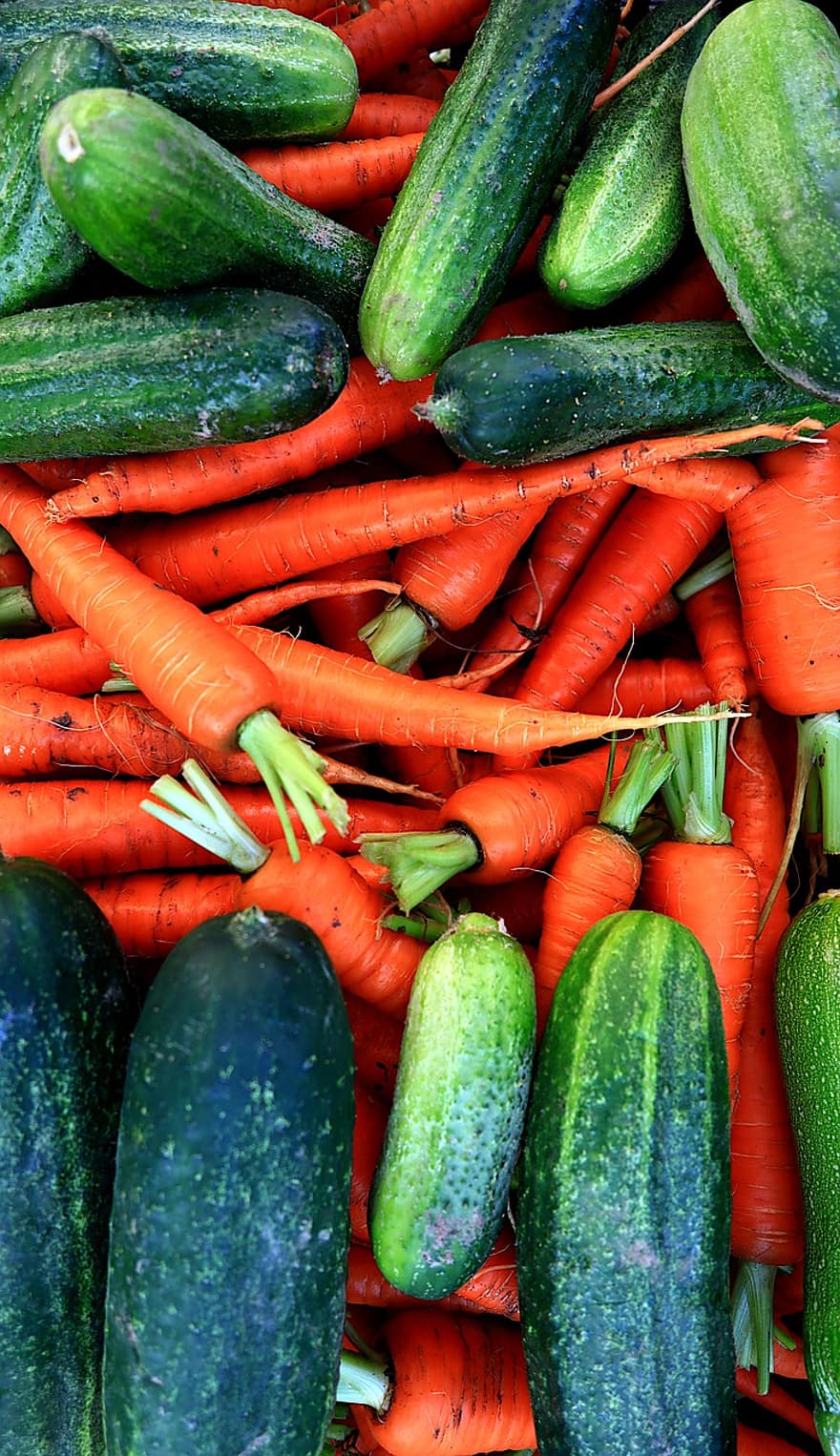 овочі, огірки, кабачки, витрати, морква, сільське господарство, здоров'я, зелений, харчування, біо, їсти