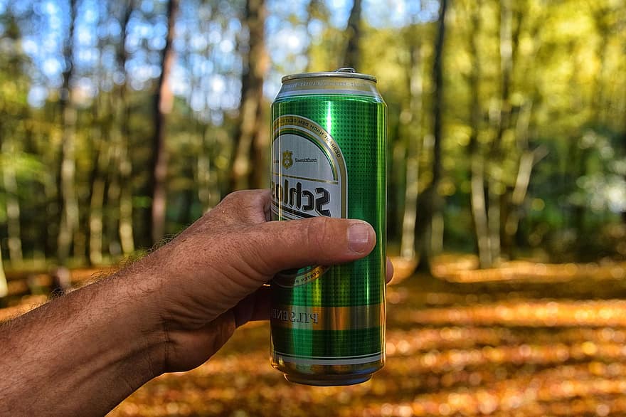 ビール、できる、ドリンク、飲み物、森林、木、葉、自然