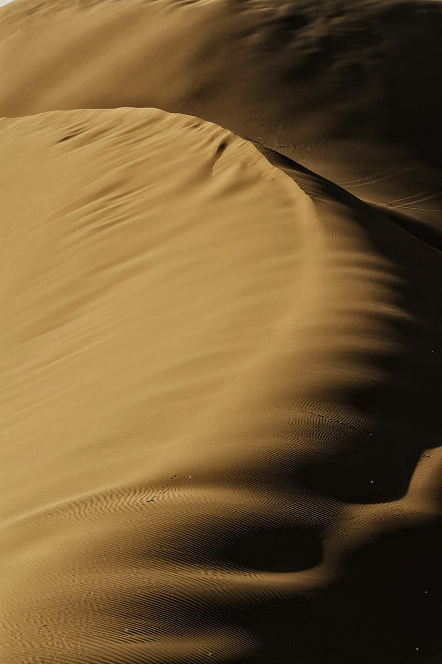 dykuma, pobūdį, aukso, kraštovaizdį, kontrastas, šešėlis, saulėlydis, smėlis, smėlio kopa, modelį, sausas
