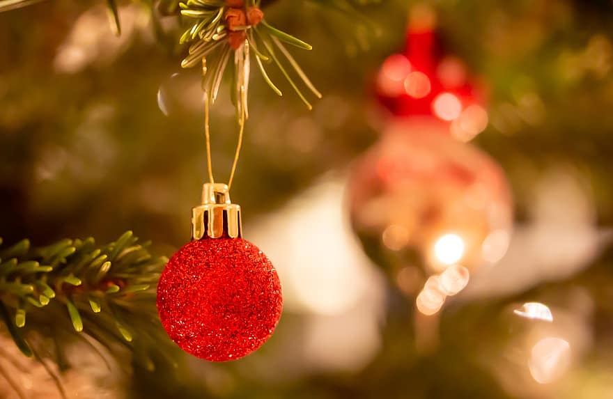 ornamente, copac, Crăciun mingea, Brad, ace, glob de Craciun, decor, iarnă, ace de pin, venire, decembrie