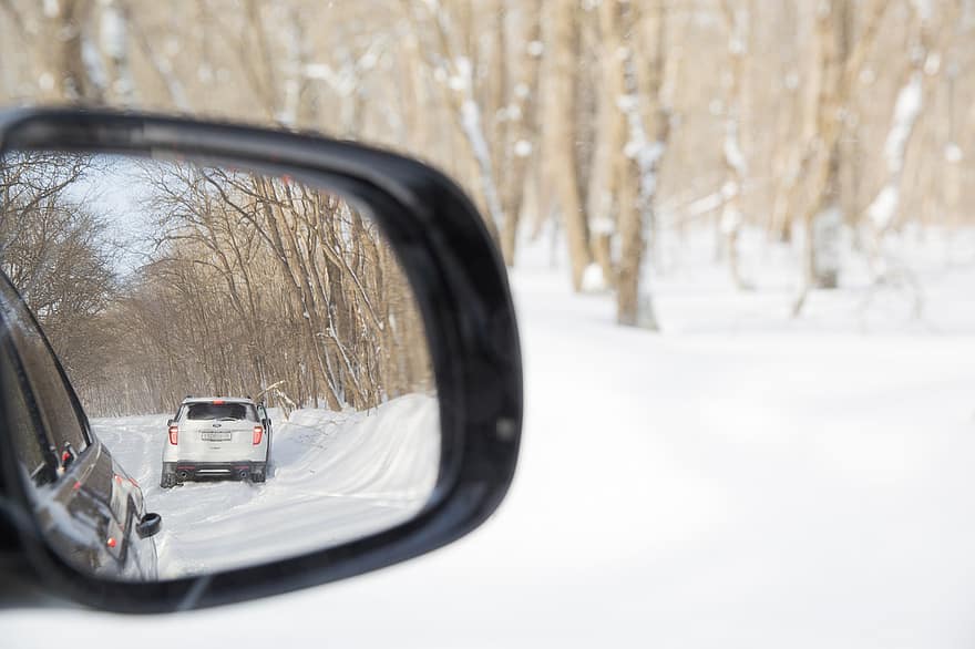 車、高速道路、氷、森林、猛吹雪、Lane、アスファルト、コールド、運転する、霧、霜