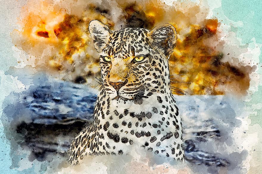 leopard, dívej se, divoký, umění, vodové barvy, vinobraní, Afrika, kočka, tričko, zvíře, abstraktní