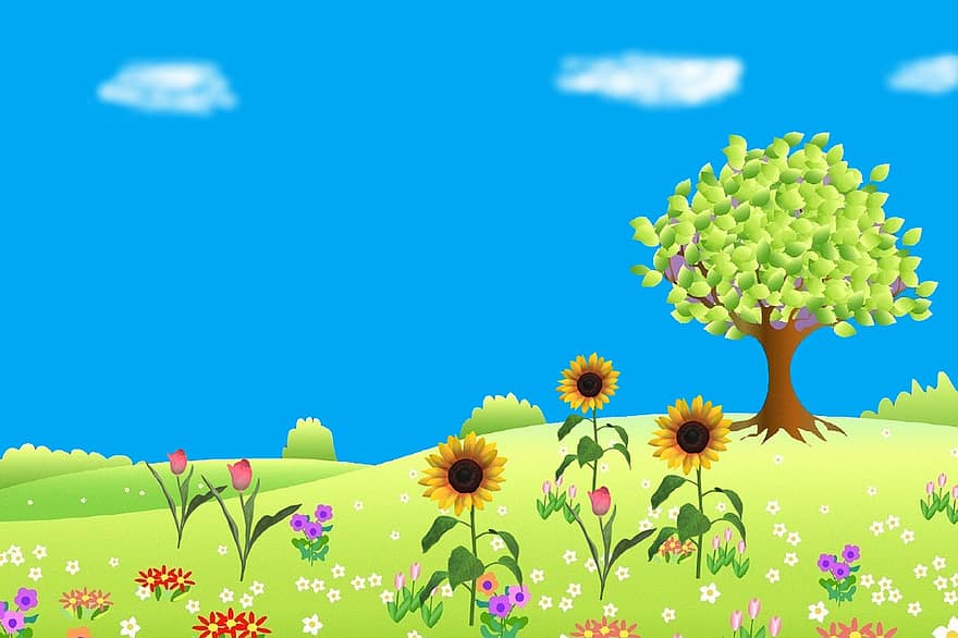 pļavas, jomā, ziedi, augiem, raksturs, vasarā, zieds, zāli, augu, zaļā krāsa, fona