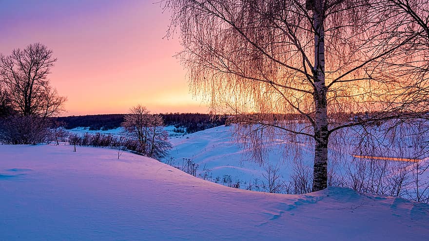 Tree, Hills, Snow, Sunset, Sunrise, Nature, winter, forest, season, landscape, dusk