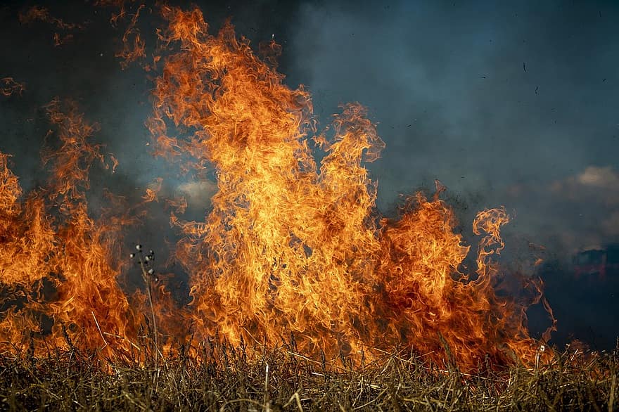 brand, fält, brandbekämpning, flamma, naturligt fenomen, brinnande, värme, temperatur, inferno, bål, Helvete