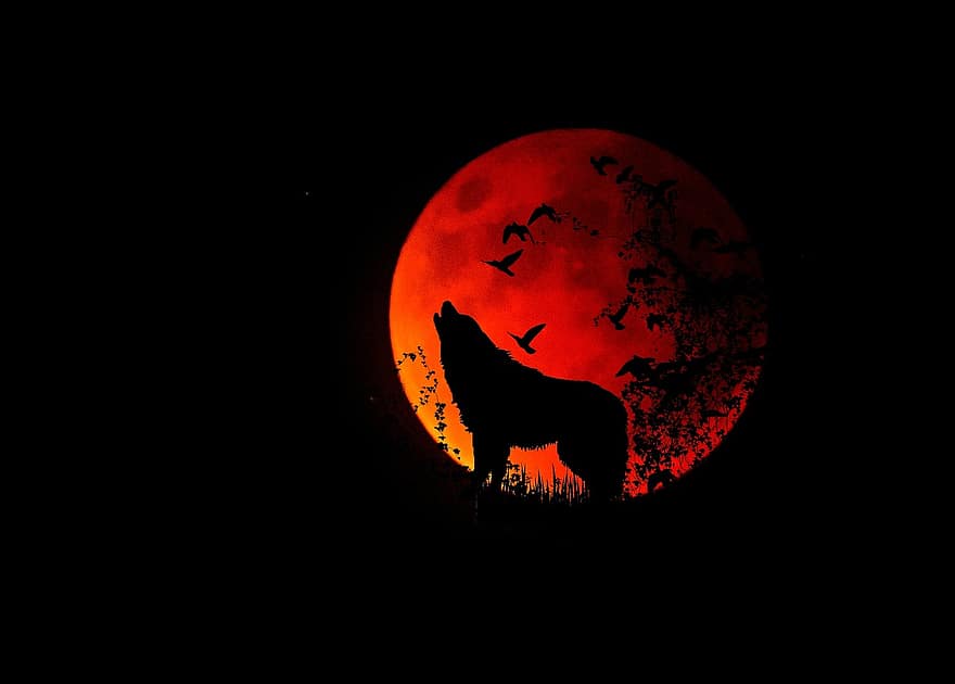 Luna llena, Luna, lobo, animal, místico, noche, aullido, fantasía, fotomontaje, atmosférico, atmósfera