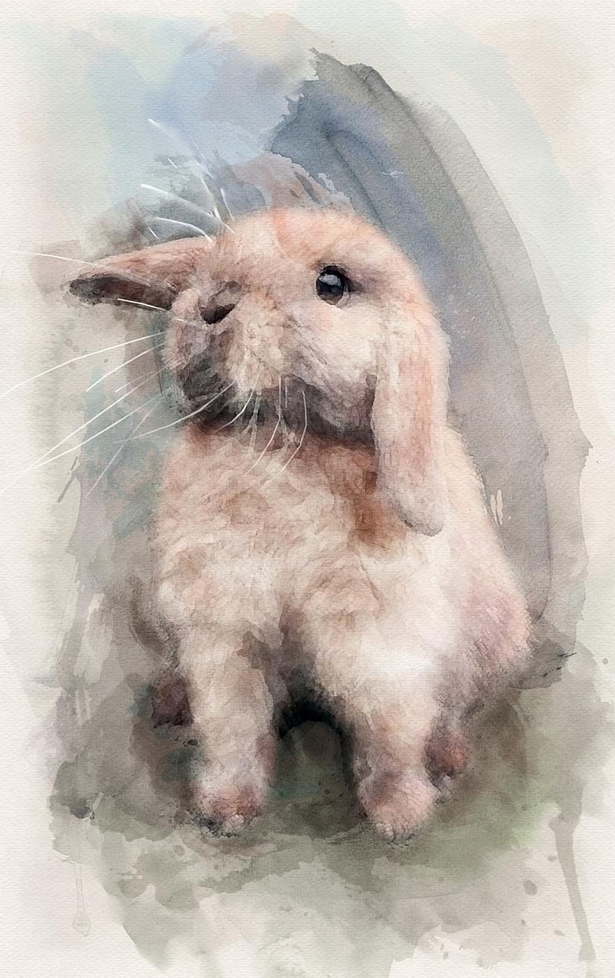acquerello, coniglietto, coniglio, Pasqua, animale, pittura, animali domestici, carina, illustrazione, piccolo, soffice