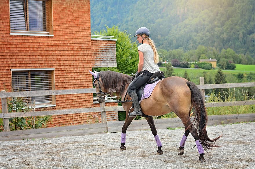 meisje, rijden, paard, pony, paddock, bruin paard, paardrijden, zadel, paarden, Equestrienne, boerderij