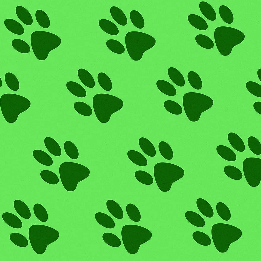 faixas, impressões, patas, pegadas, patas de gato, fundo verde