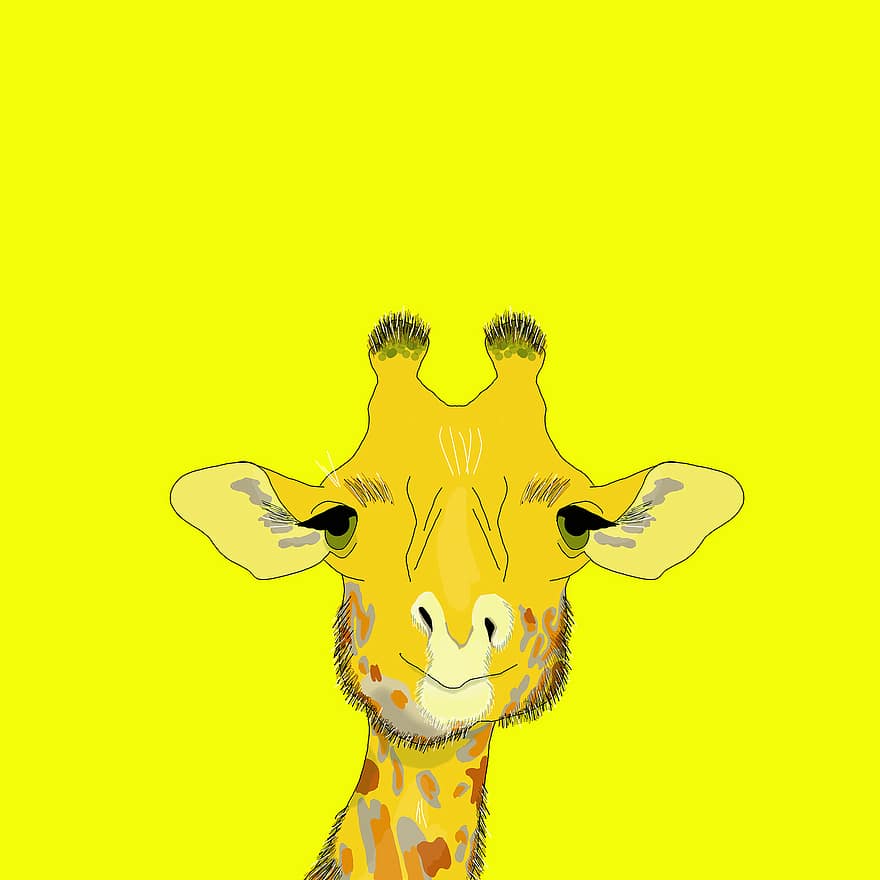 giraff, lång hals, fläckar, däggdjur, djur-, natur, afrika, målning, sommar