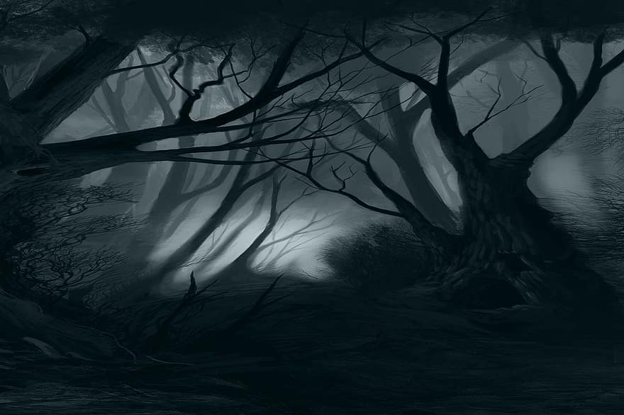 fantasi, bakgrund, besatt, mörk, scen, skog, trän, gotiska, natt, läskigt, träd