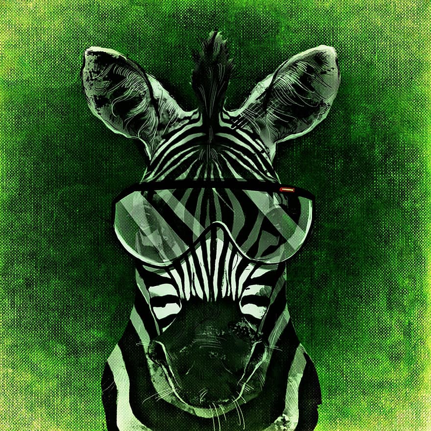 Zebra, Cool, Abstract, Funny, Glasses, Fun