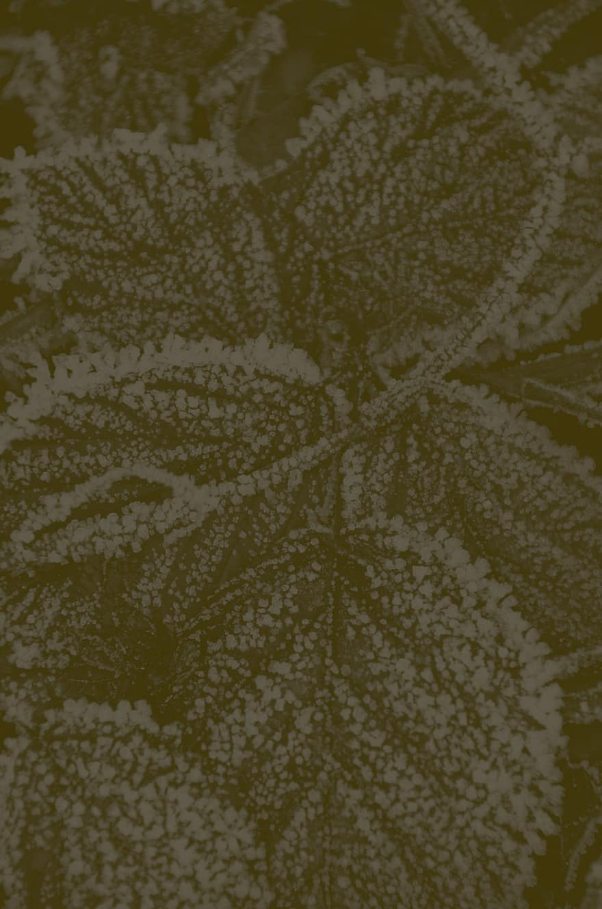 Hintergrund, Textur, Blätter, Frost, Zweige, Muster, Natur, Papier-, Design, braun, digitales Papier