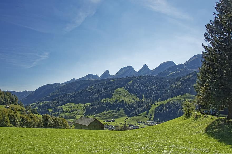 Schweiz, Gamle Sankt Johann, canton of st gallen, Saint Gall, Alperne, landskab, Thurtal, Säntis, Säntis-massivet, bjerge, Skov