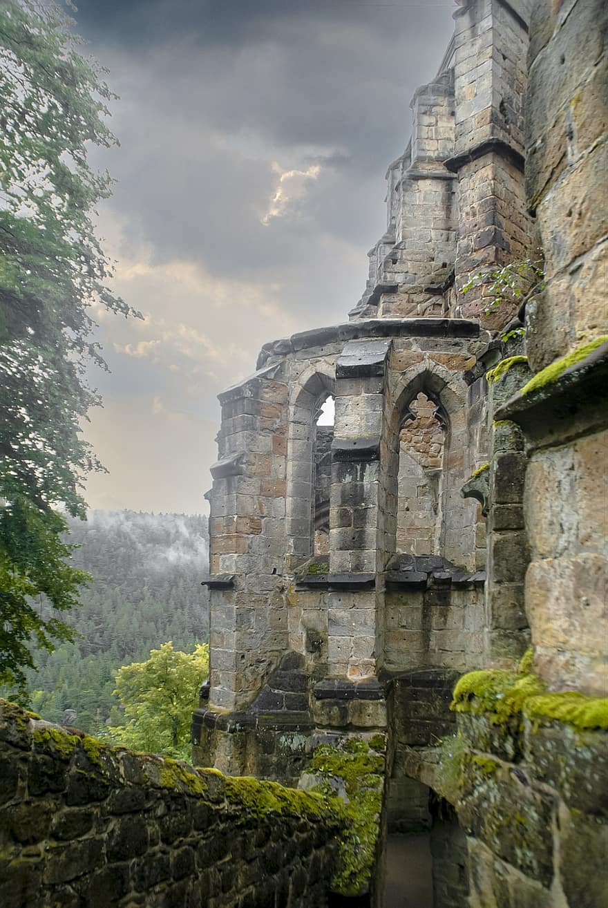 monasterio, restos, oybin, montañas de zittau, lusacia, montaña, edades medias, llovizna, gótico, ventana, árbol de hoja caduca