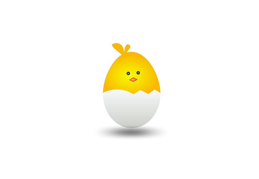 яйце, курча, курка, пташенята, милий, птах, весна, птиця, природи, смішно, жовтий