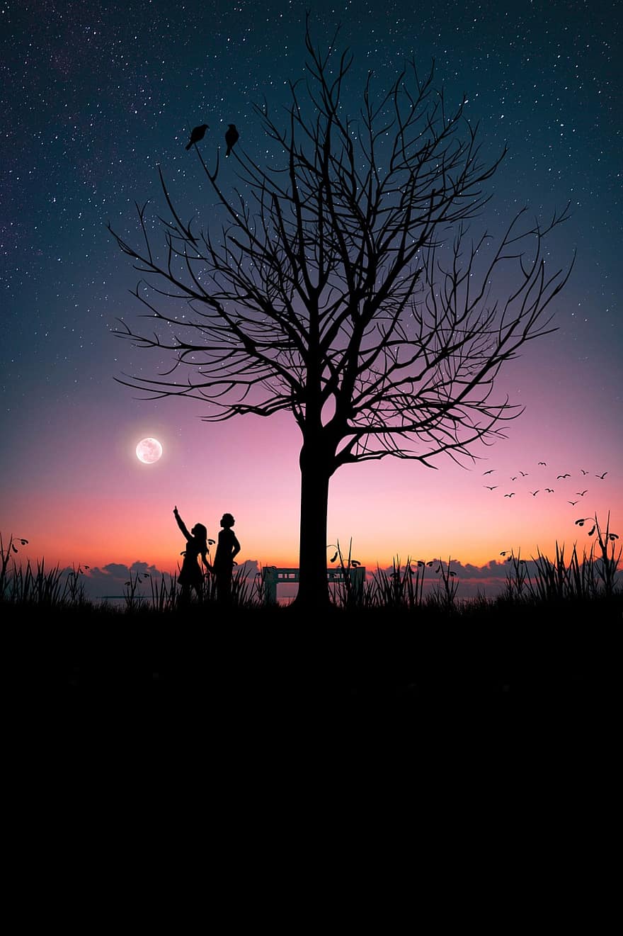 îndrăgostiți, lumina lunii, noapte, arta digitala, lună, stele, apus de soare, siluetă, cu iluminare din spate, amurg, copac