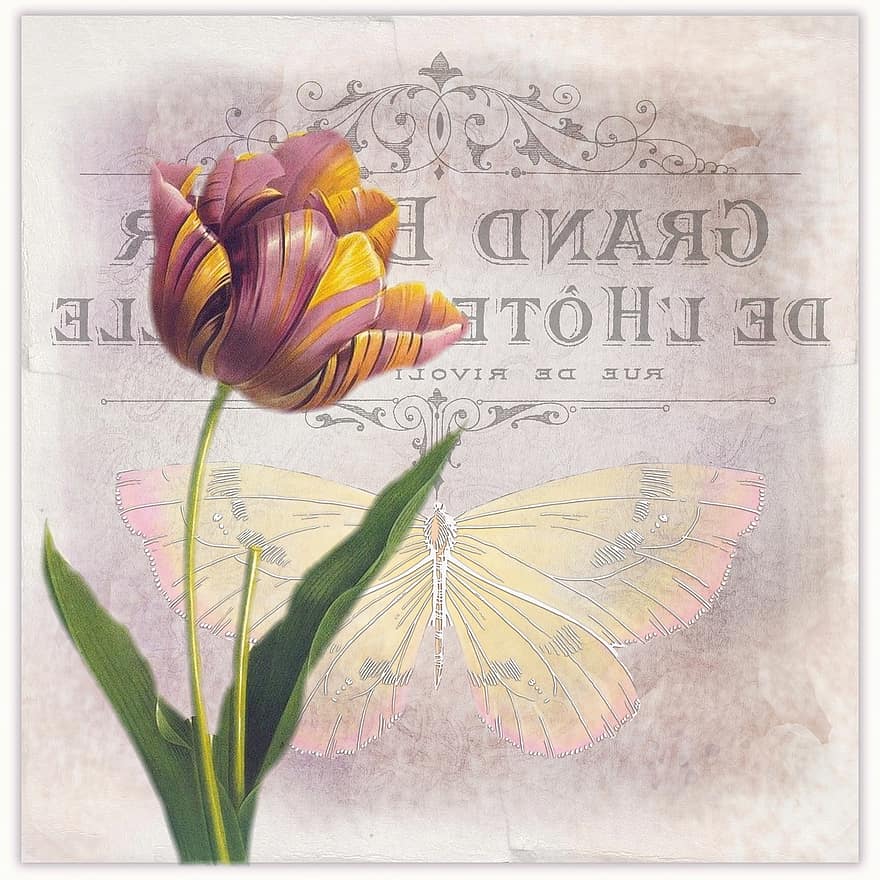 Vintage ▾, fiore, tulipano, sfondo, rosa, botanico, viola, giallo, carta, vecchio, design