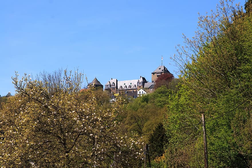 naturaleza, castillo, arquitectura, histórico, edades medias, Alemania, Solingen, bosque, arboles, árbol, antiguo