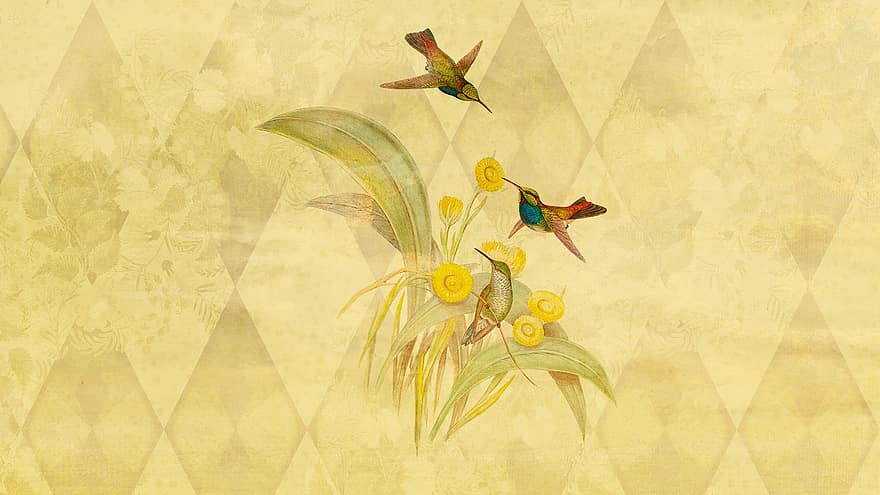 ptáků, létající, rostlin, krém, Příroda, Krásná, zahrada, svítání, venku, květiny, jaro