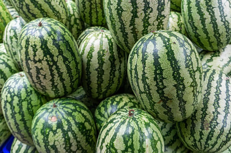 Watermelons, Fruits, Organic, Harvest, fruit, food, freshness, melon, striped, ripe, healthy eating