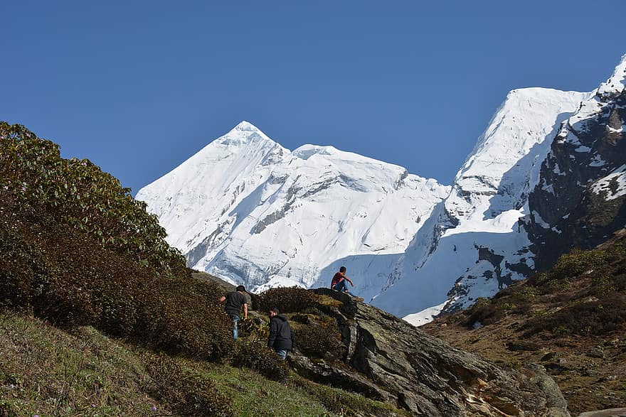 Uatarakhand, ngọn núi tuyết, dãy núi, đi bộ đường dài, trekking, leo núi, người leo núi, các bạn, đàn ông, Thiên nhiên, phong cảnh
