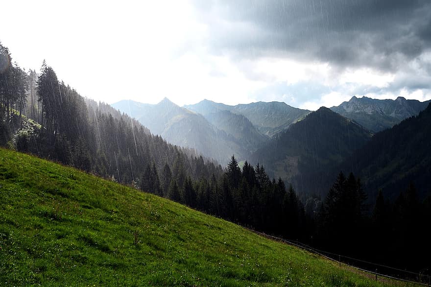 Alpok, Kleinwalsertal, Ausztria, hegyek, reggel köd, hegy, fű, tájkép, erdő, rét, nyári