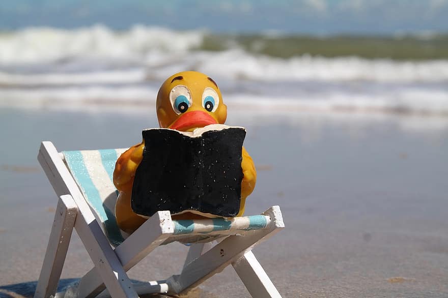 ler, Pato, livro, de praia, onda, espreguiçadeira, relaxar