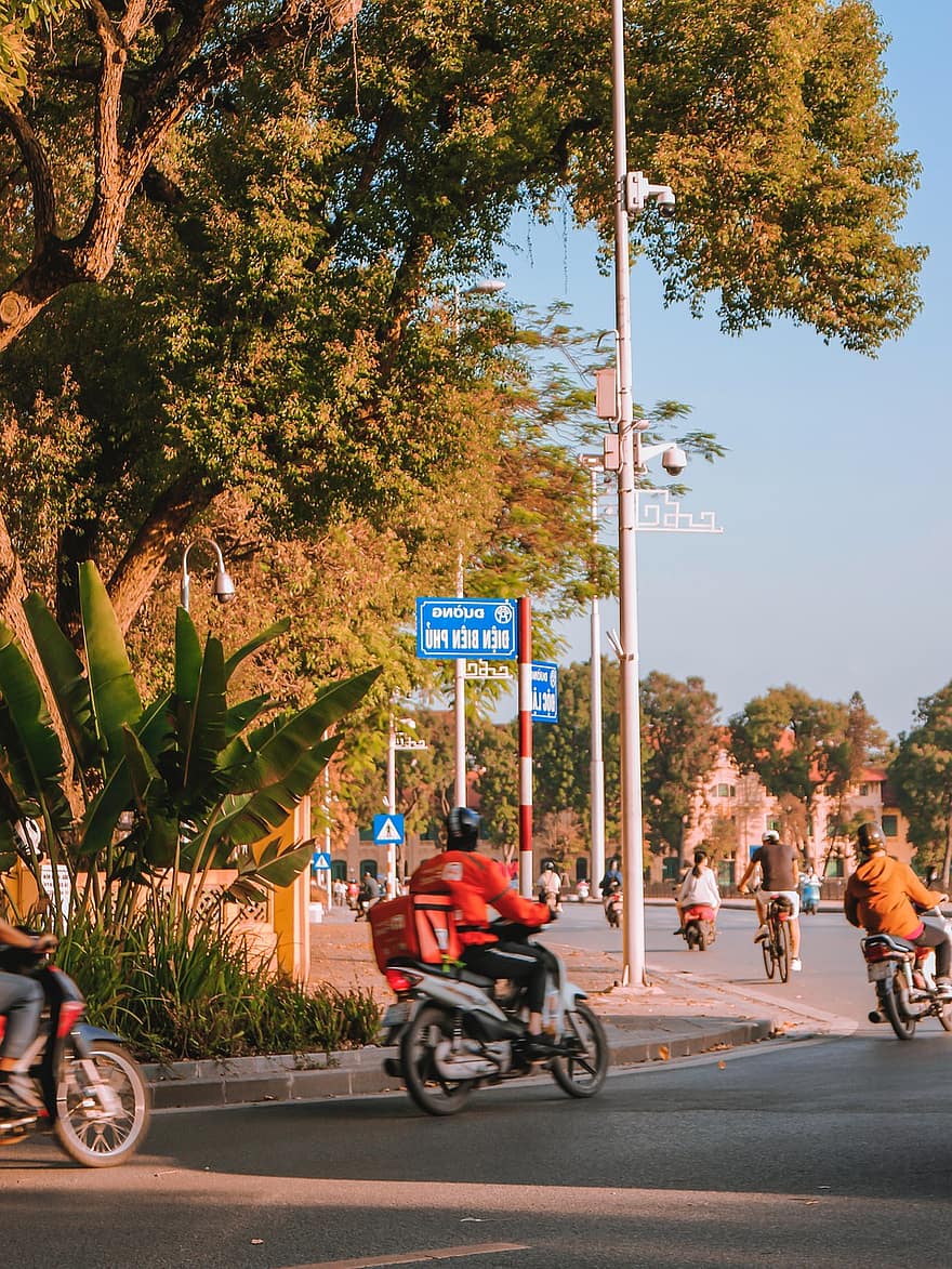 Straße, Signal, Hanoi, Natur