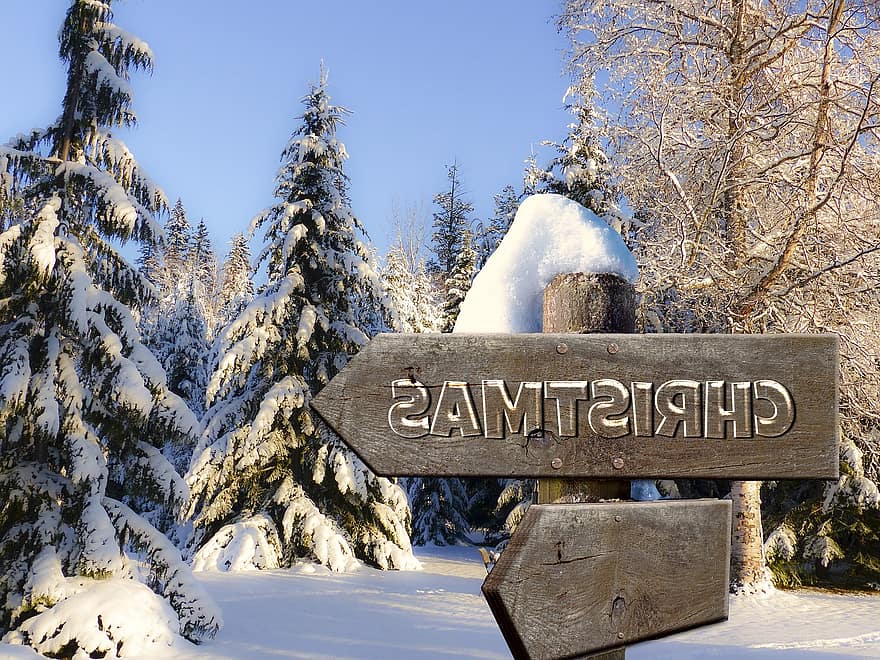 Christmas, Directory, Wood, Forest, Snow, Trees, Shield, Direction, Signposts, Arrow, Away