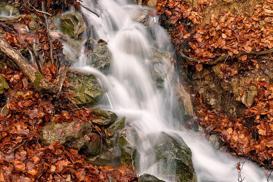 Wasser, Strom, rot, Blätter, Herbst, Wasserfall, Fluss, Bach, Natur, Landschaft, szenisch
