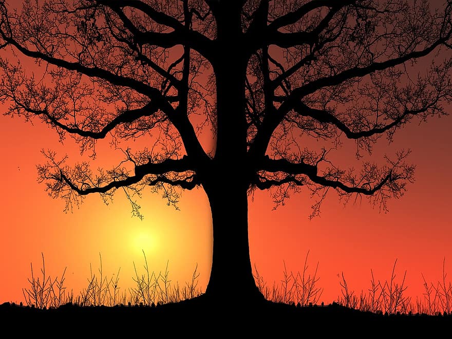 crepúsculo, Dom, silueta, árbol, naturaleza, paisaje, puesta de sol, retroiluminado, oscuridad, ilustración, rama