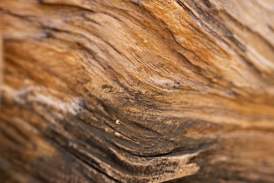 dřevo, dřevěný, sochory, tkáň, vzor, abstraktní, starý, Pozadí