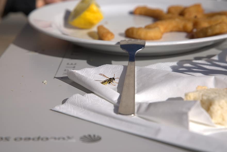 bi, insekt, mad, tæt på, plade, bord, friskhed, måltid, baggrunde, gourmet, gul