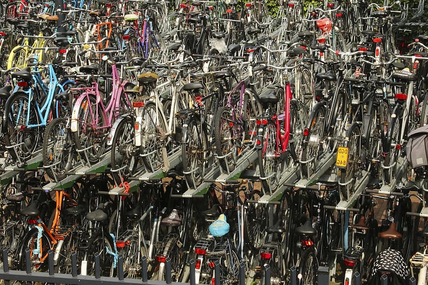 sykler, transport, sykkel, syklus