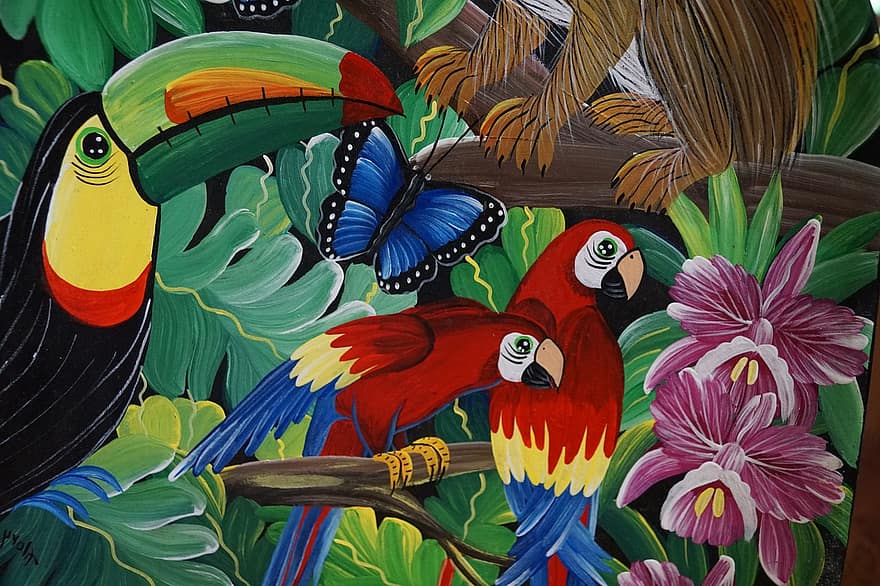 ببغاء ، الطيور ، زاهى الألوان ، فن ، كوستا ريكا ، أمريكا ، طبيعة ، رسم ، مشروع قانون ، كبير ، عين