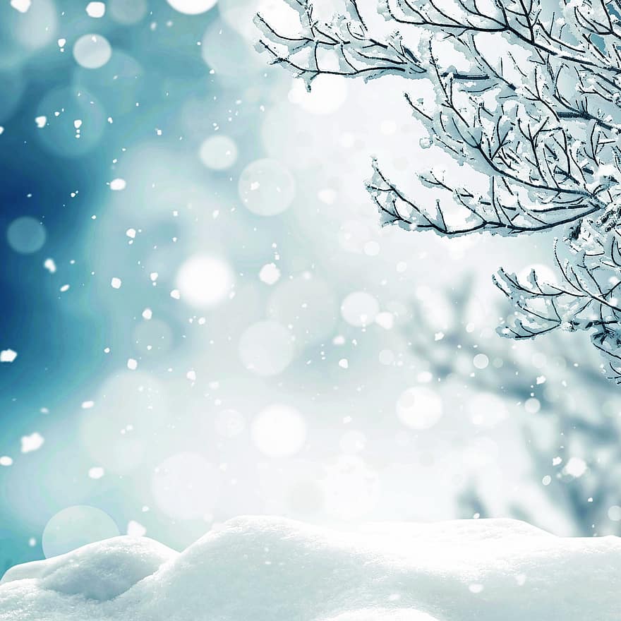 Árbol de Navidad de invierno, bokeh, fondo de navidad, Navidad, invierno, decoración, árbol, diciembre, vacaciones, adviento, celebracion