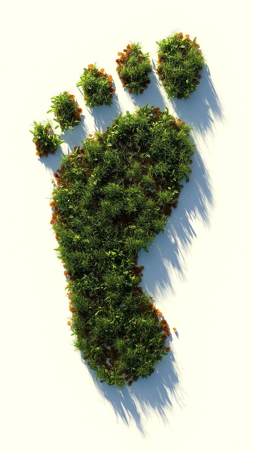 Green, Healthy, Footprint, Ecological Footprint, Climate Change, Plant, Agriculture, Environment, Sustainable