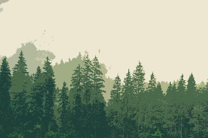 гора, дървета, мъгла, гори, мъглявина, пейзаж, екология, околност, на открито, природа