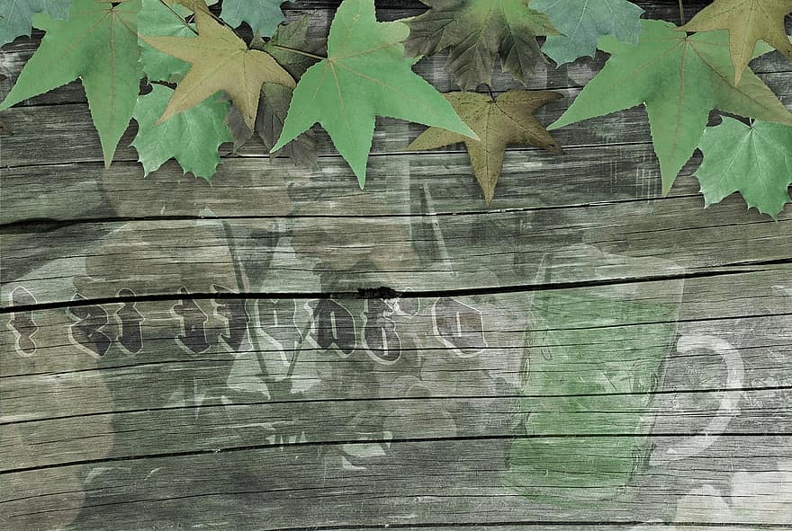 Октоберфест, фон, дерево, осень, доска объявлений, доски, стена, листья, зеленый