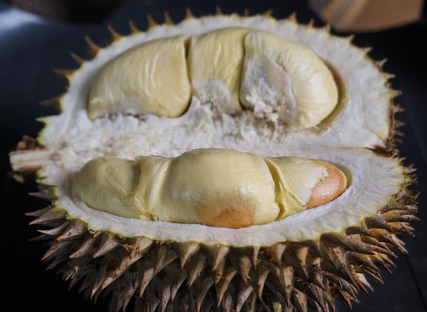 durian, fruita, menjar, fresc, saludable, madur, orgànic, dolç, produir, collita, agricultura