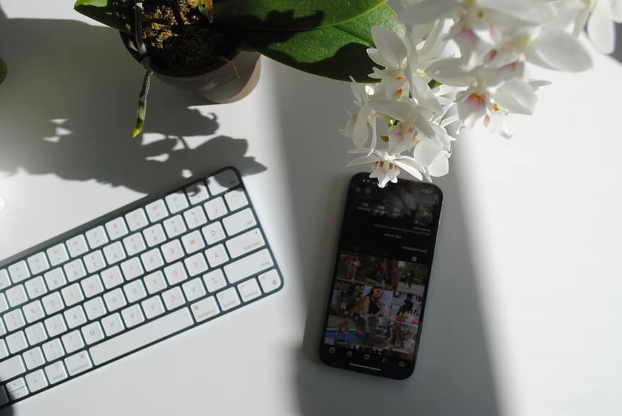 смартфон, клавиатура, цветя, орхидеи, растение, къщно растение, Instagram, социална медия, iphone, мобилен телефон, бюро