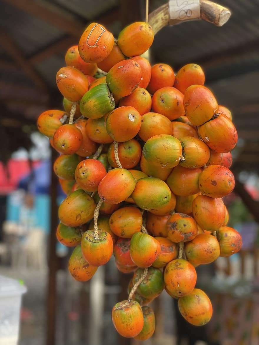 Персиковая пальма, органический, рынок, фрукты, здоровый, chontaduro, свежесть, сельское хозяйство, питание, крупный план, овощной