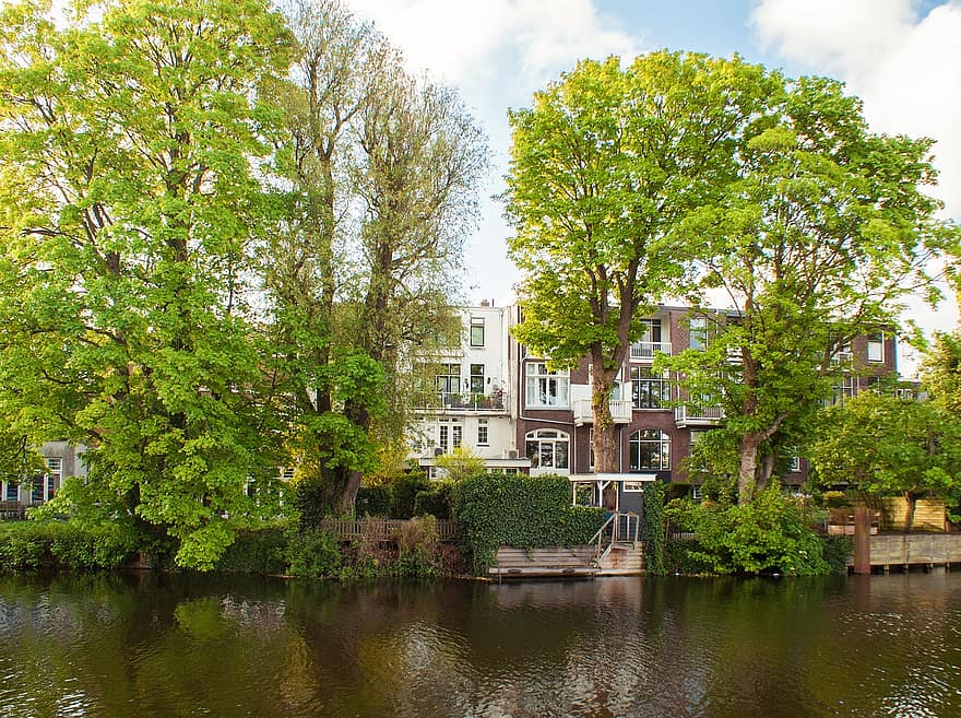 къщи, дървета, Холандия, Schiedam, сгради, стар, порт, вода, кей, приятен, дърво
