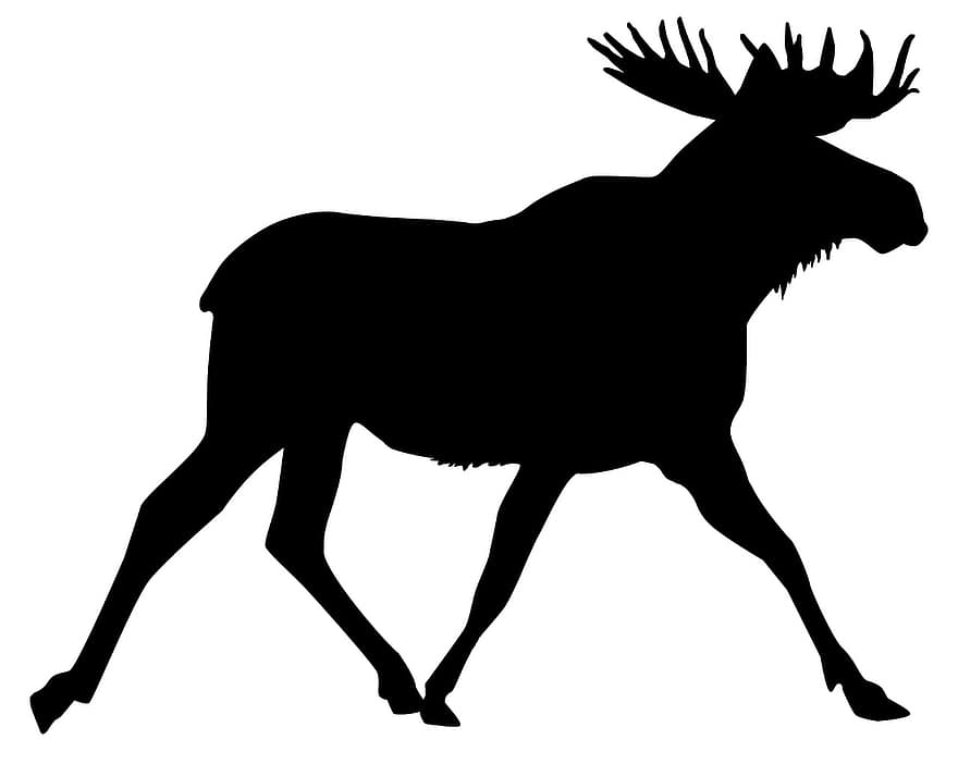 ムース、切り取る、スウェーデン、動物、アート、黒、白、ランニング、角、哺乳類、野生