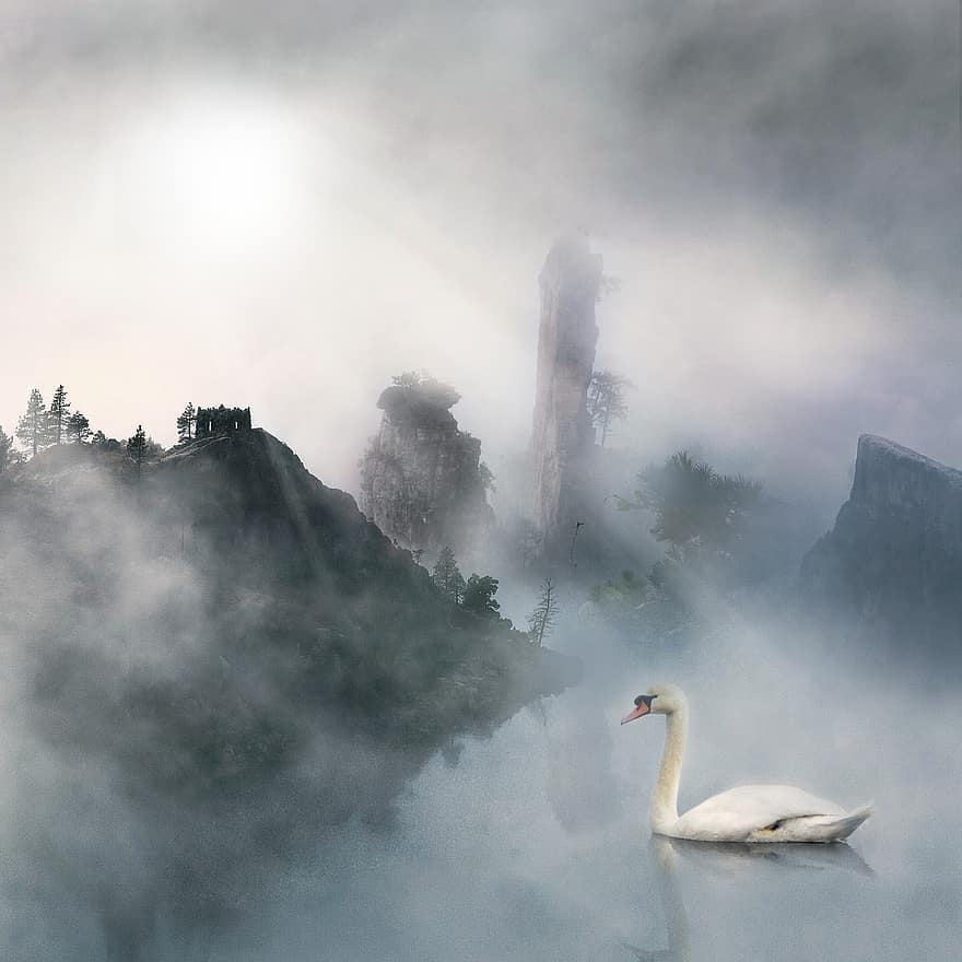 chim, Thiên nga, hồ nước, điều khiển học, loài, động vật, tưởng tượng, sương mù, Thiên nhiên, Việt Nam, thần bí