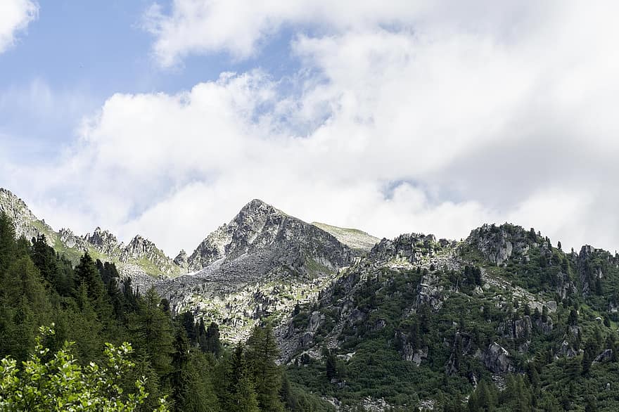 ภูเขา, ป่า, ต้นไม้, ใบไม้, เมฆ, ภูมิประเทศ, ธรรมชาติ, Trentino, สูง, การผจญภัย