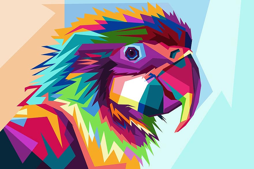 papuga, sztuka, zwierzę, kolorowy